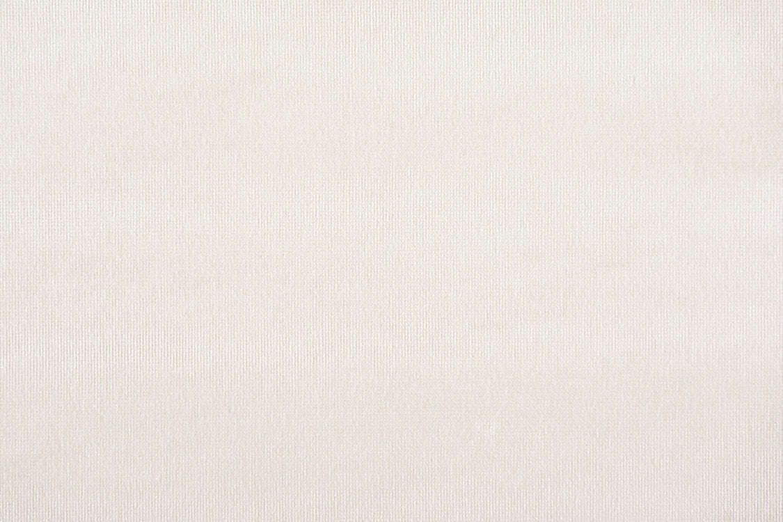 Glamour Velvet - Ivory - Scalamandre Fabric