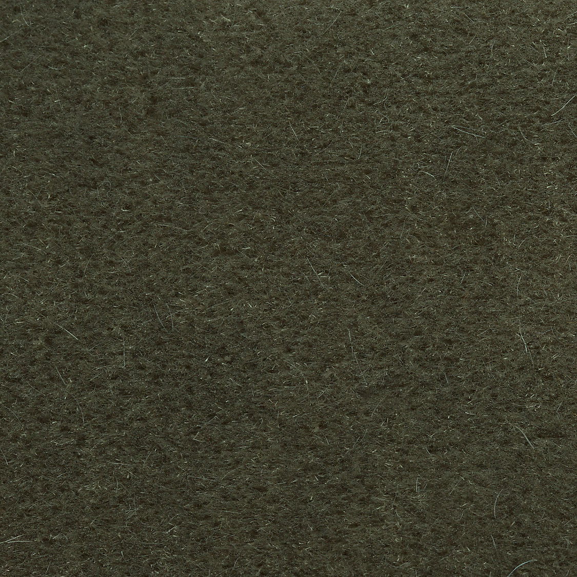 Majestic Mohair - Sparrow - Scalamandre Fabric
