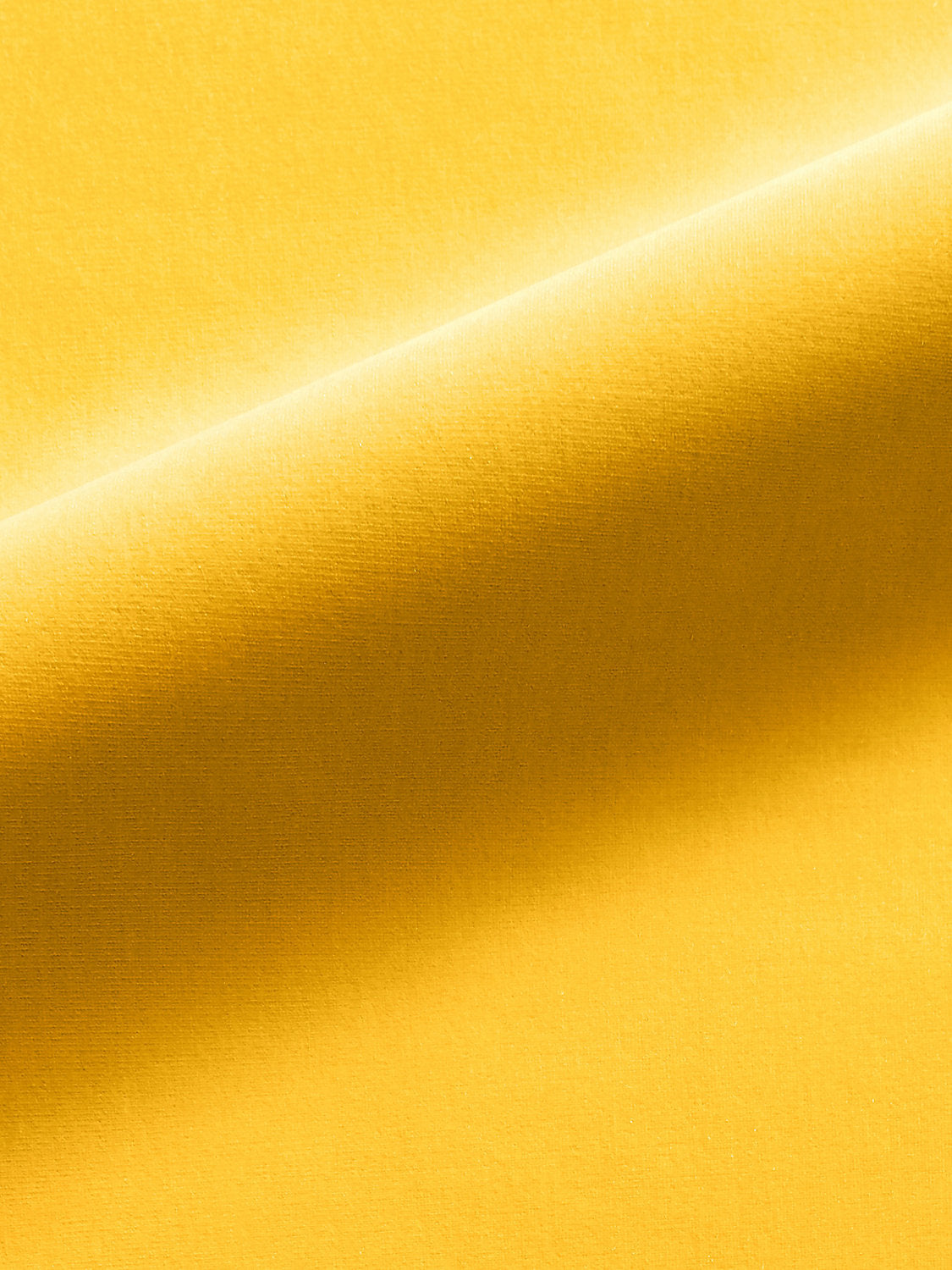 Linley - Sunflower - Scalamandre Fabric