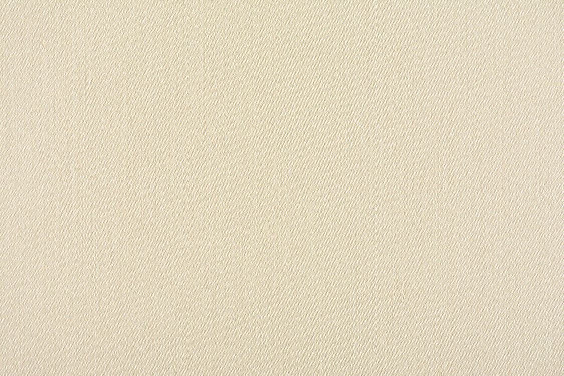 Rio - Endive - Scalamandre Fabric