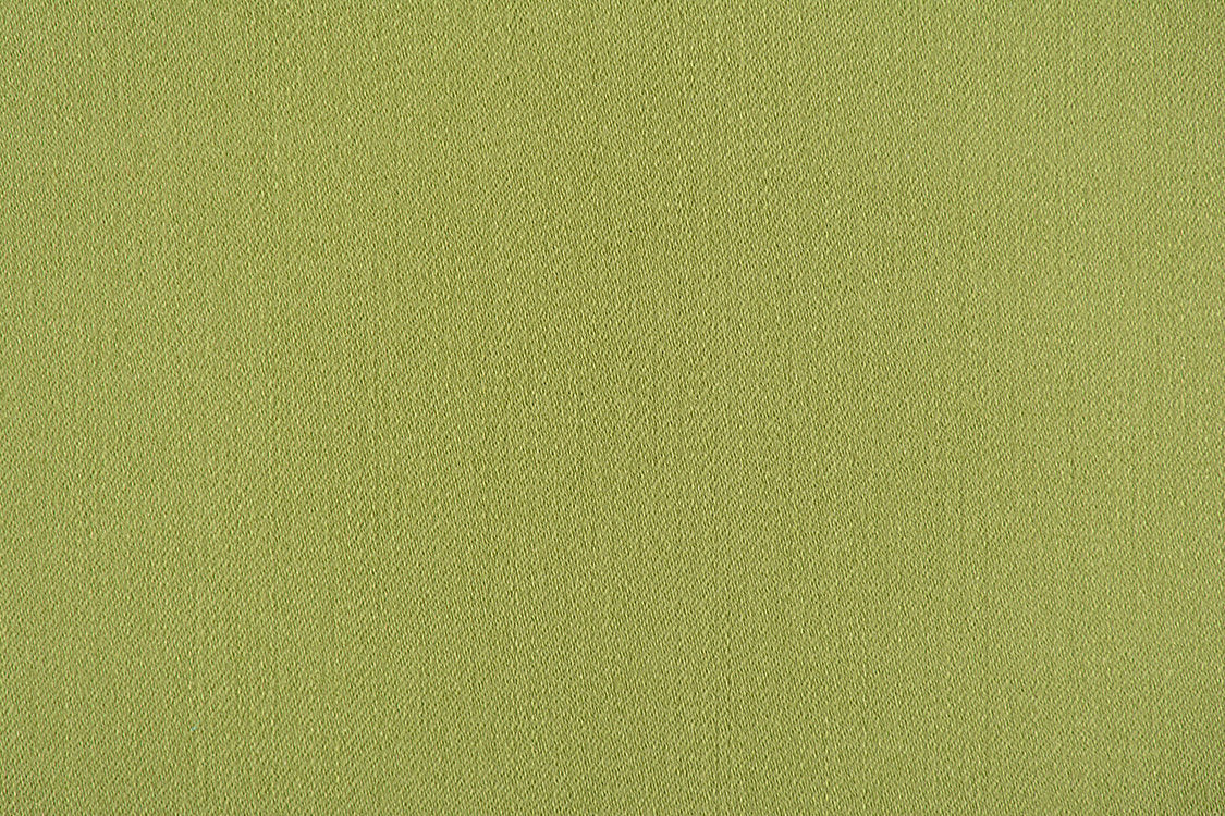 Rio - Leaf - Scalamandre Fabric