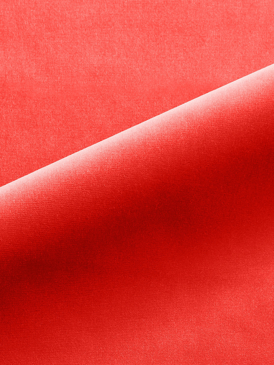 Linley - Amaryllis - Scalamandre Fabric