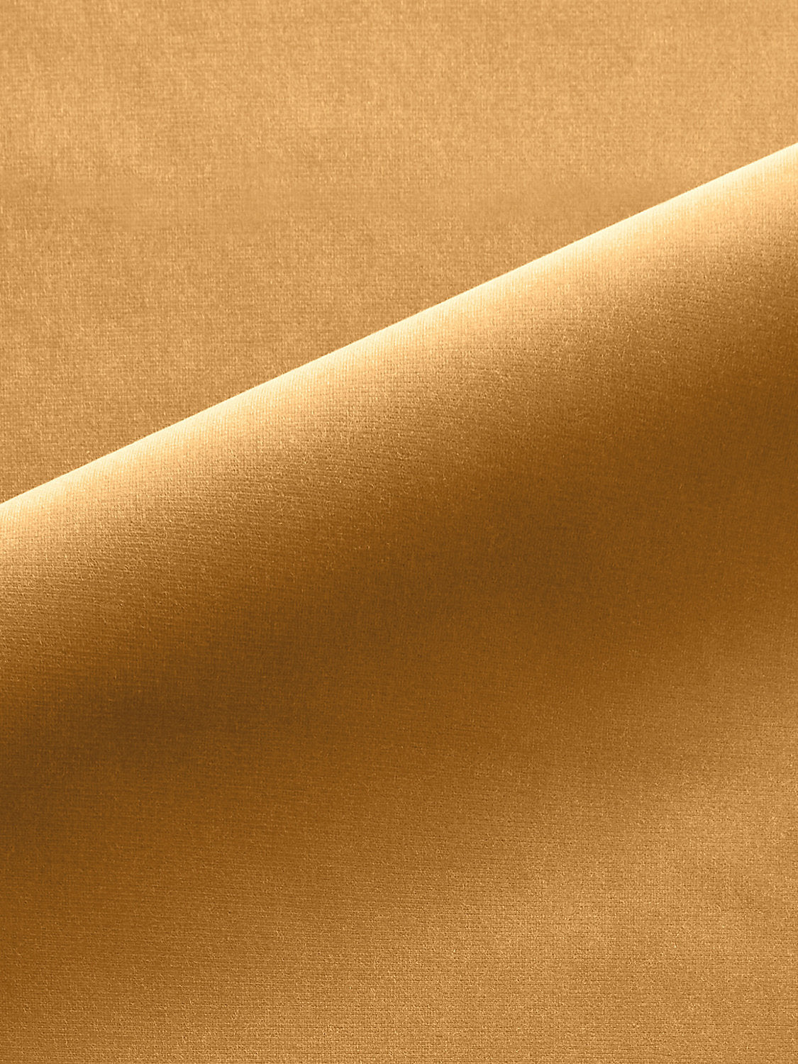 Linley - Honey Gold - Scalamandre Fabric