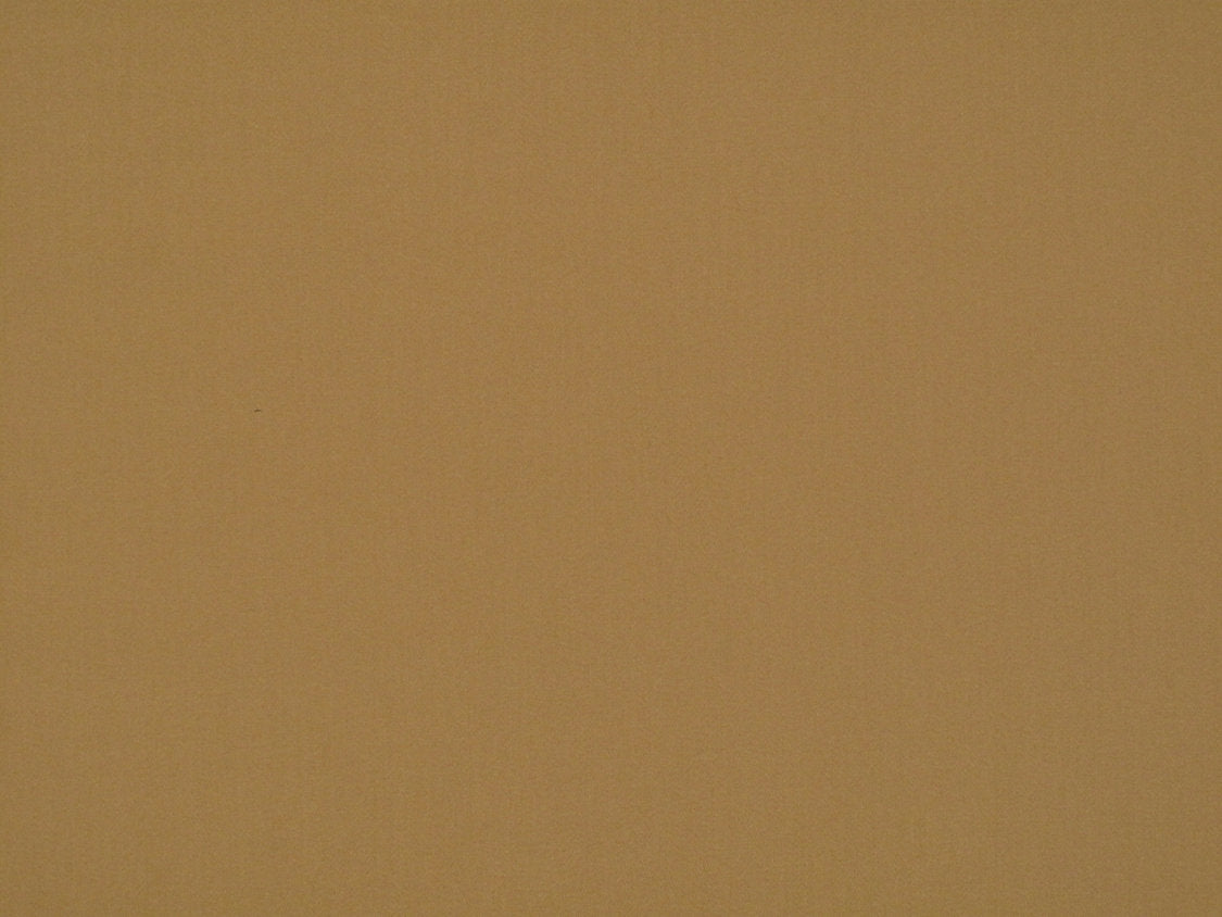 Rio - Brazilnut - Scalamandre Fabric