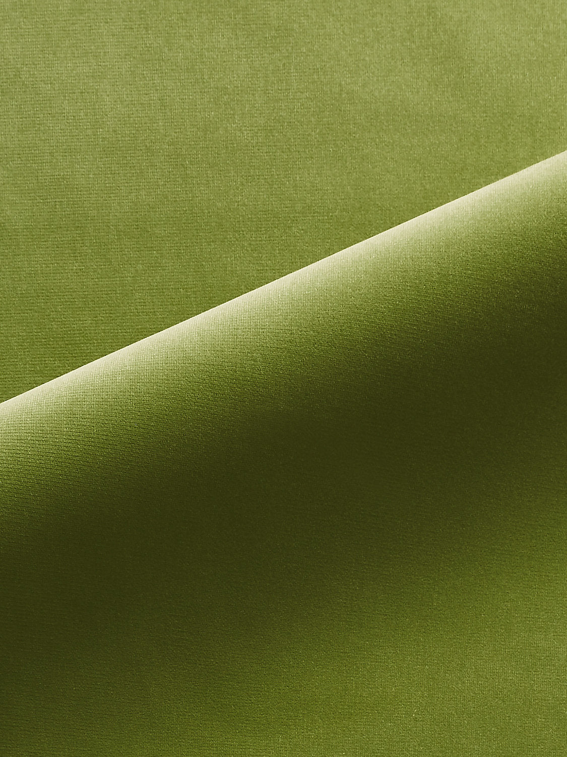 Linley - Leaf Green - Scalamandre Fabric