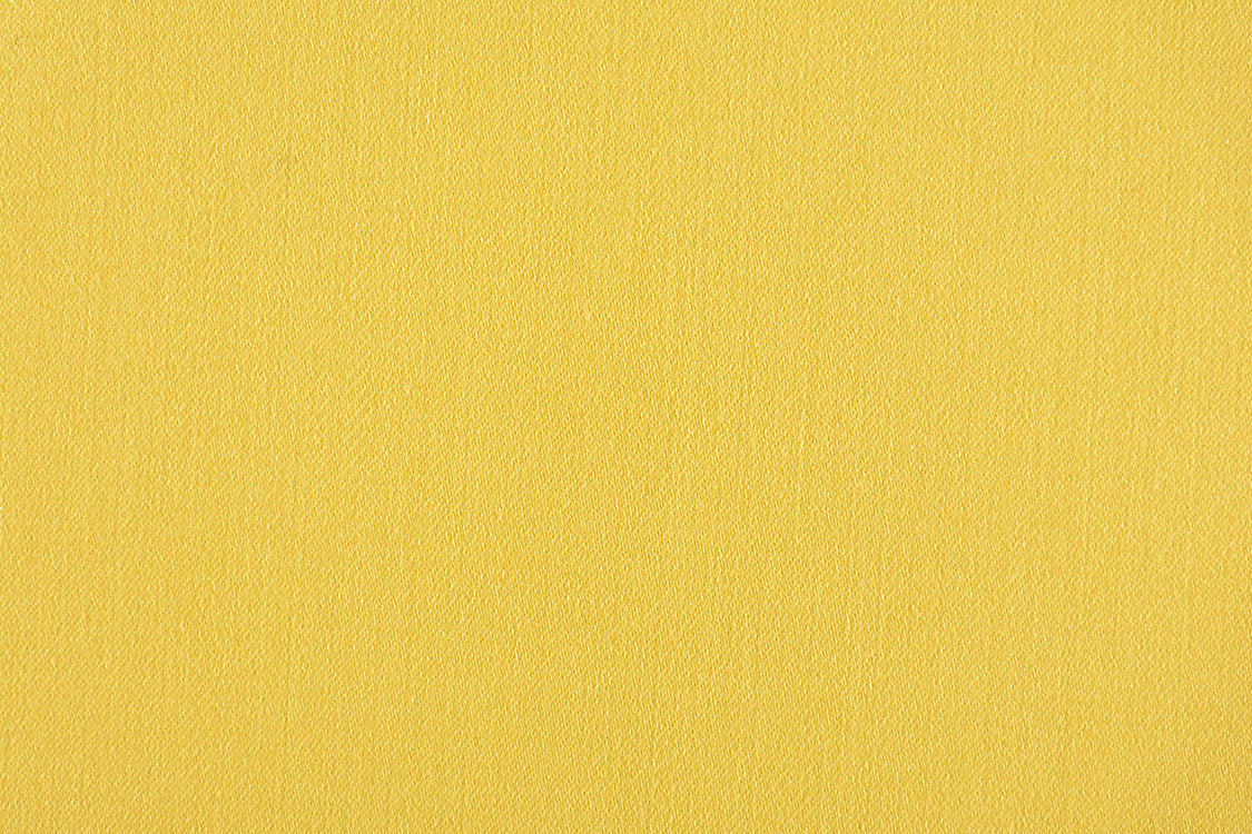 Rio - Lemon Zest - Scalamandre Fabric