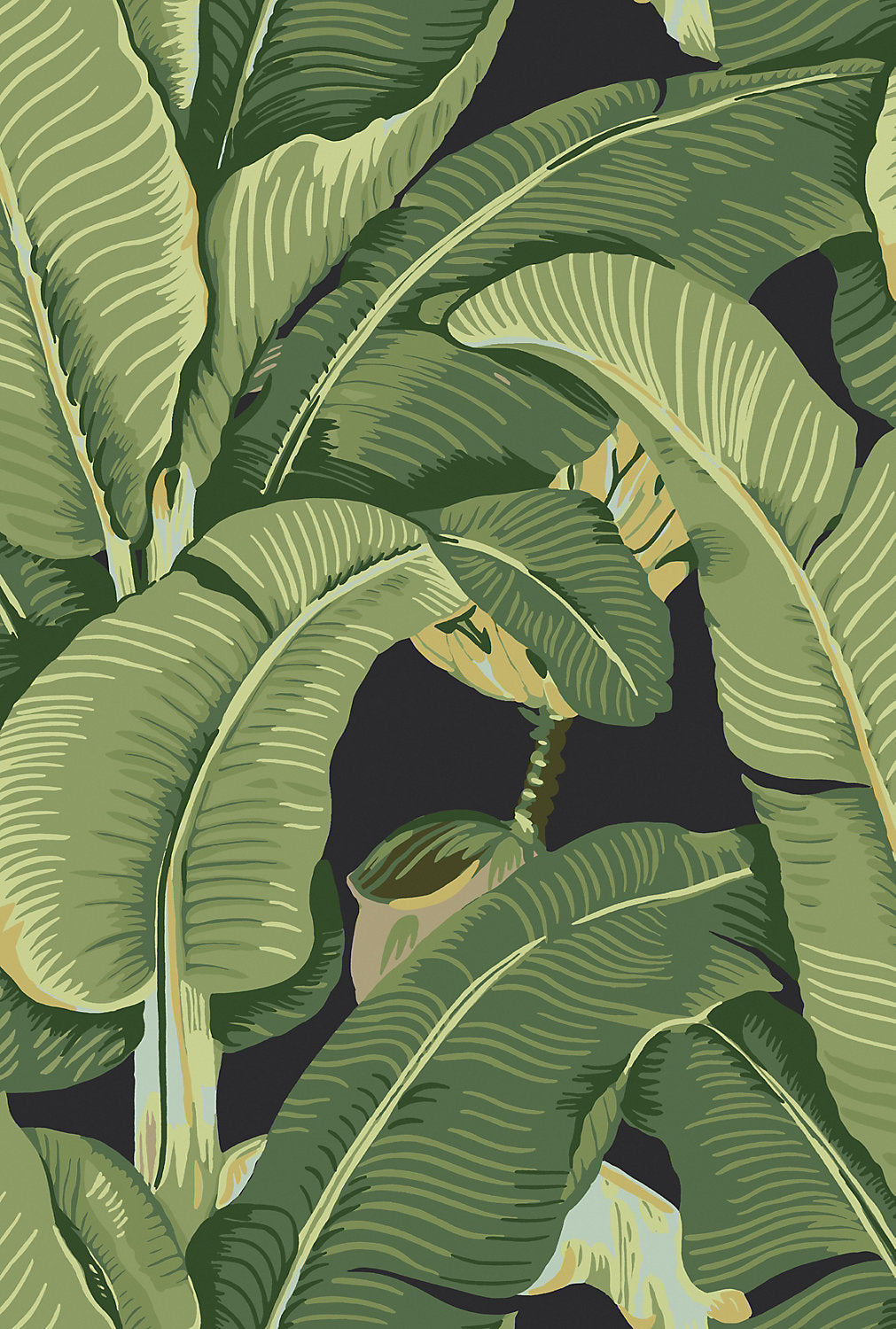 Hinson Palm - Absinthe