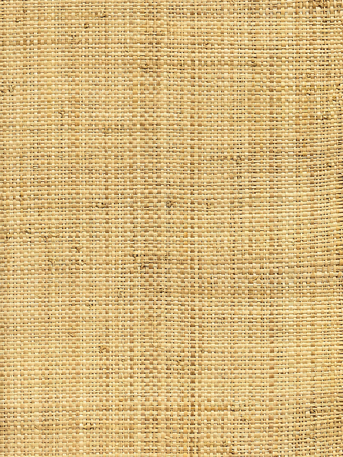 Hinson Madagascar - Coarse - Natural - Scalamandre Wallpaper