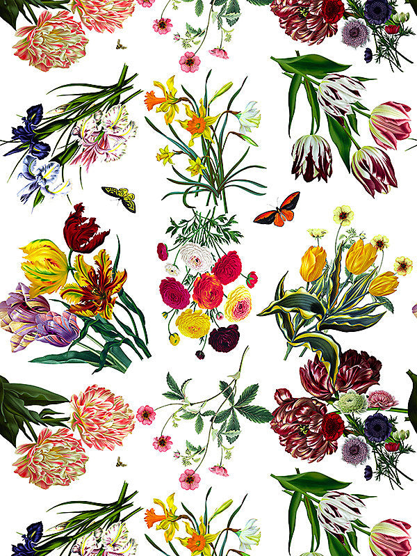 Flora & Fauna - White - Scalamandre Wallpaper