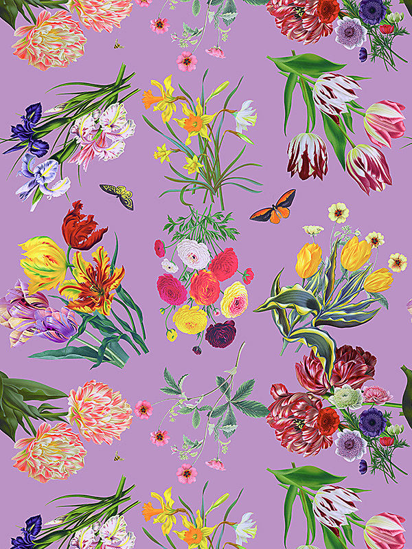 Flora & Fauna - Orchid