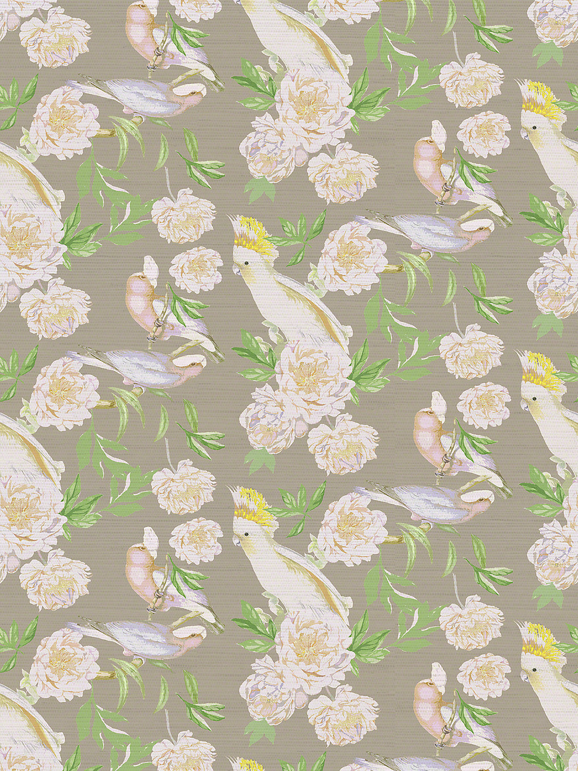 Peony Inspira - Breakers