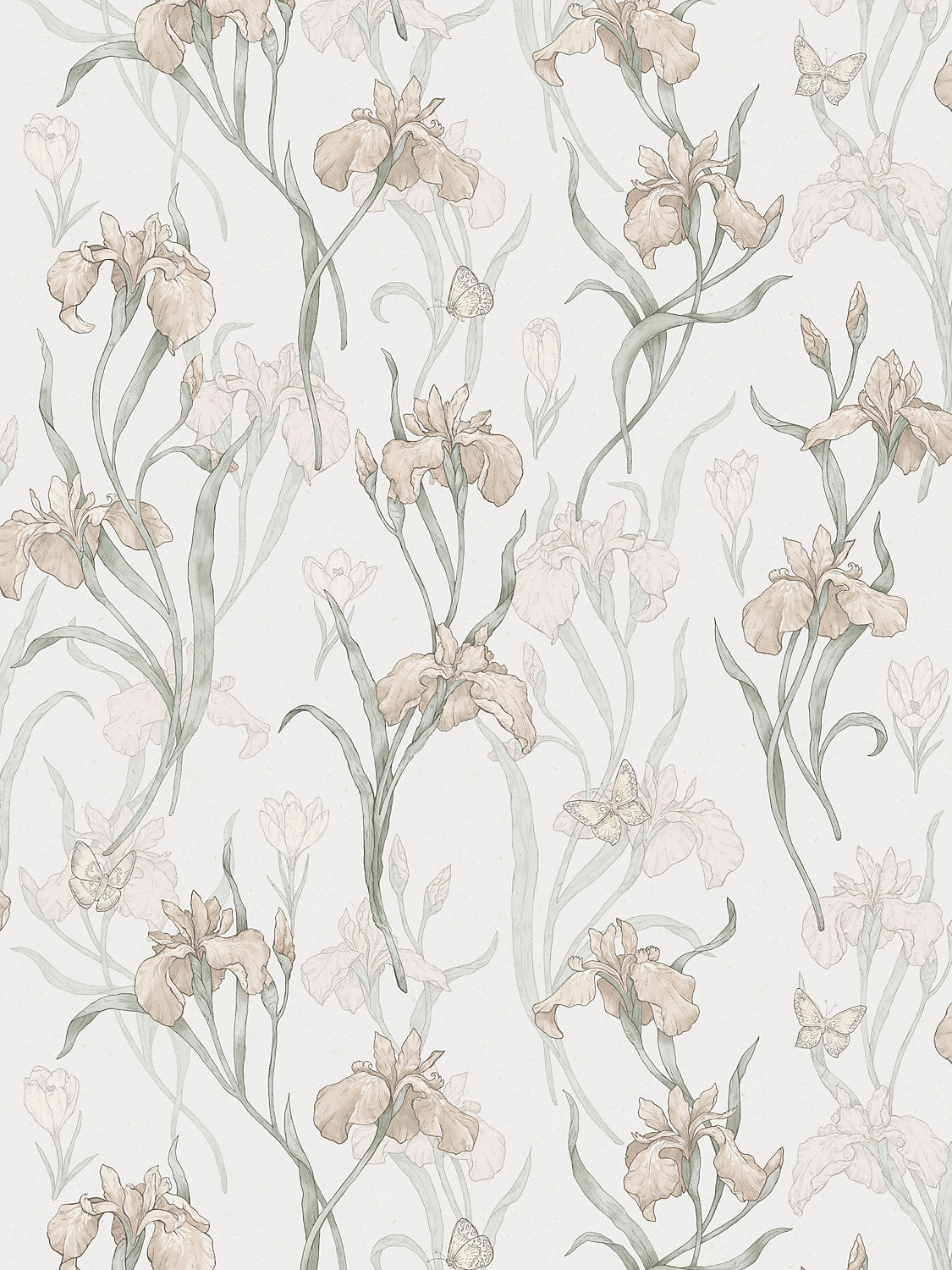 Iris - Powder Pink - Scalamandre Wallpaper