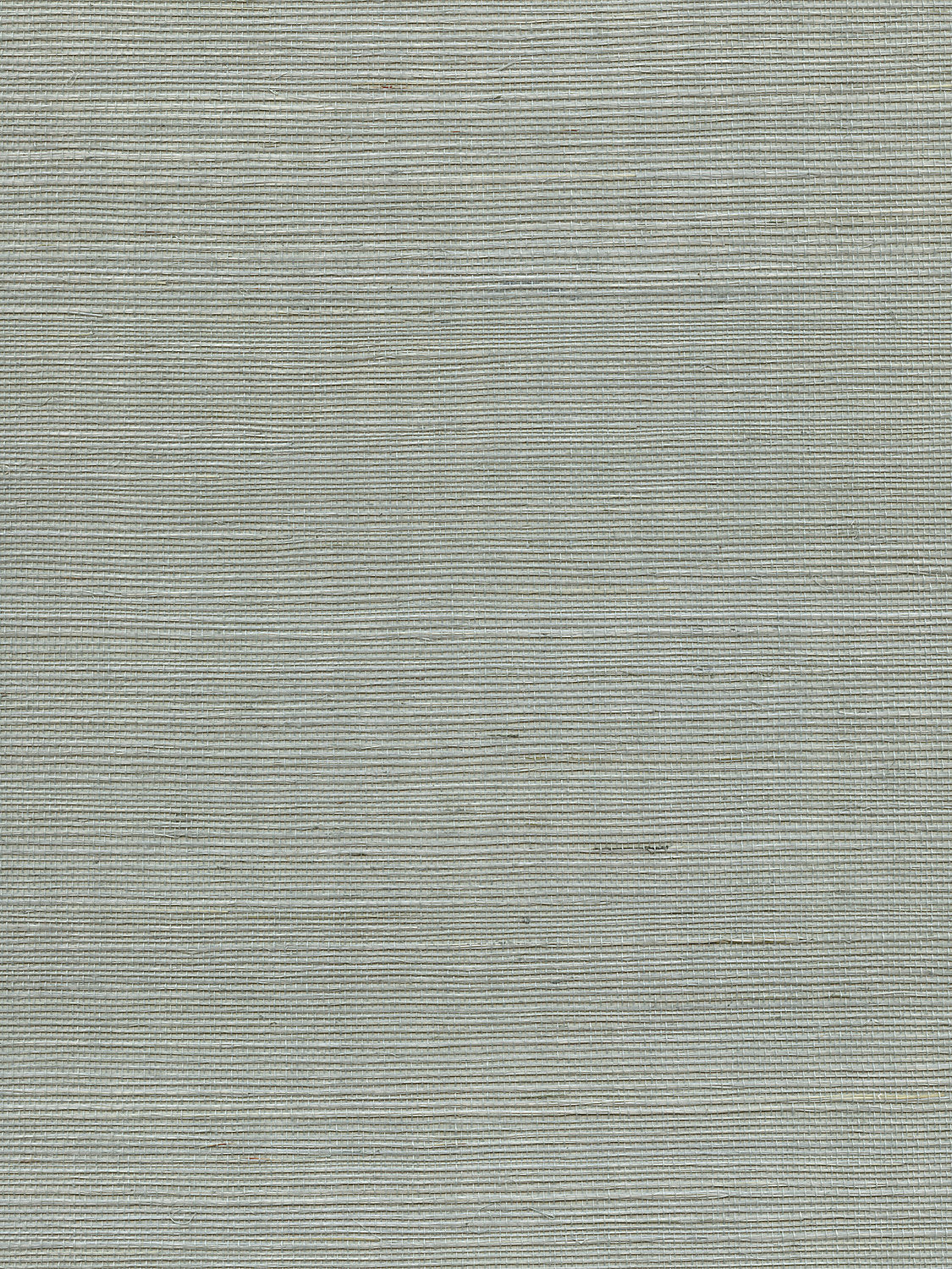Organic Sisal - Spa - Scalamandre Wallpaper