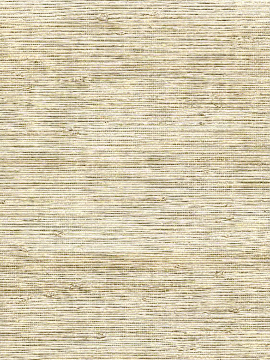 Organic Jute - Breeze - Scalamandre Wallpaper