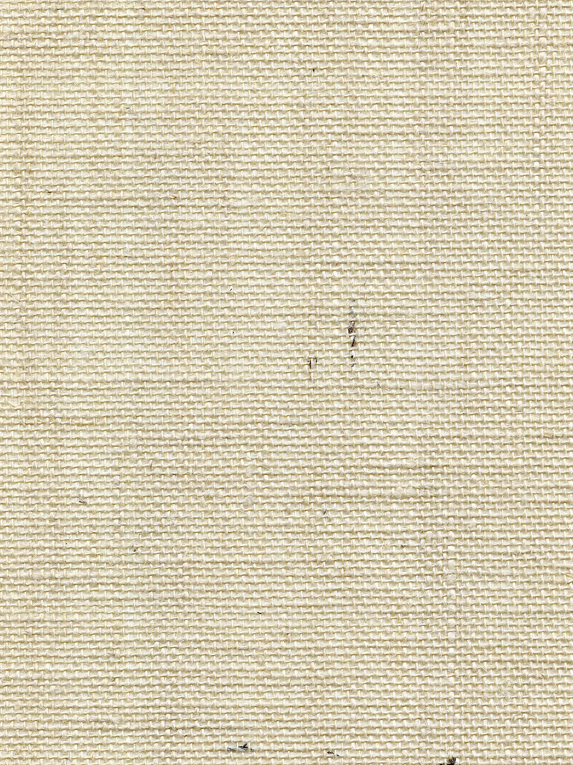 Organic Burlap - Cloud
