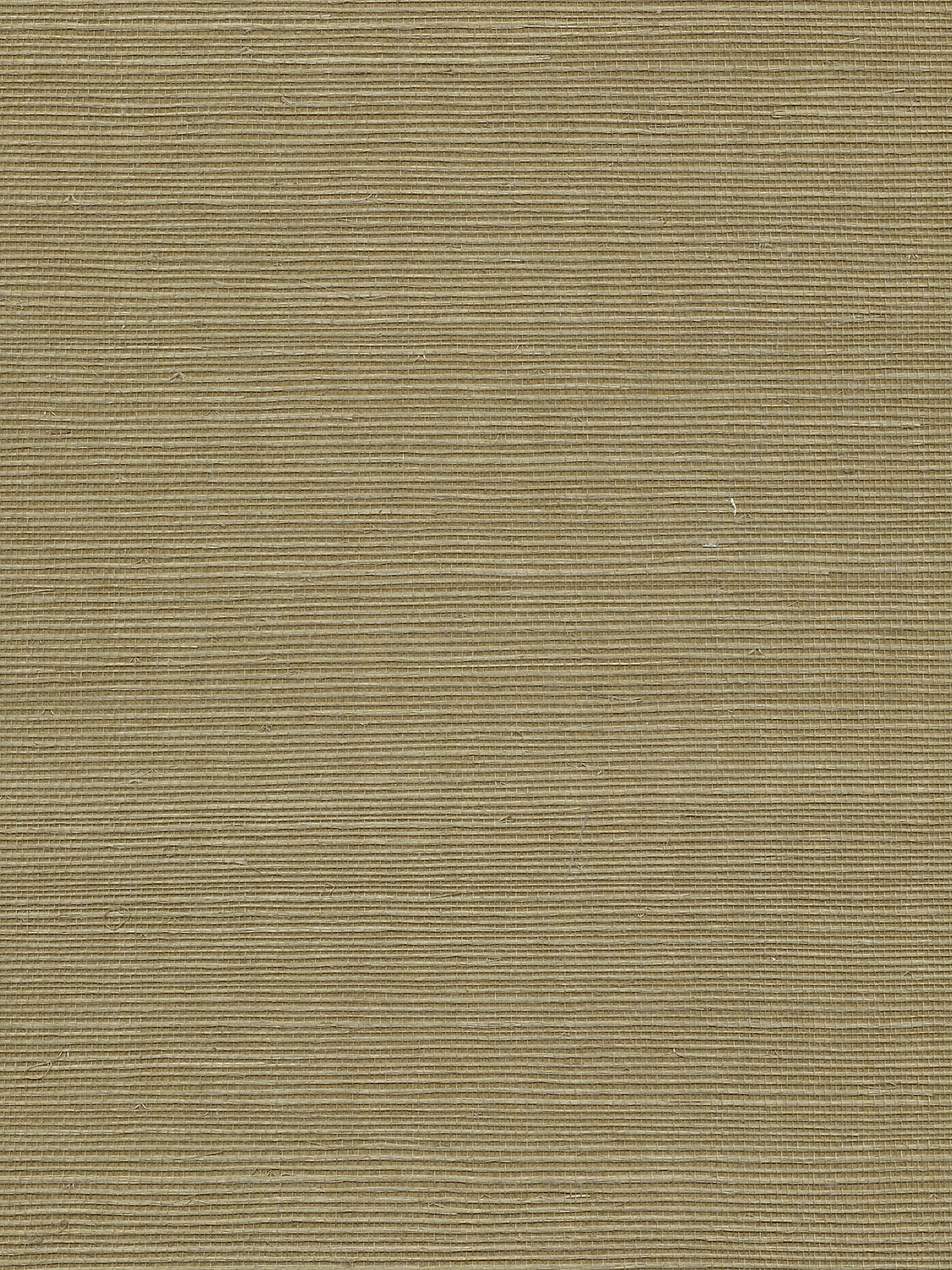 Organic Sisal - Ferndale