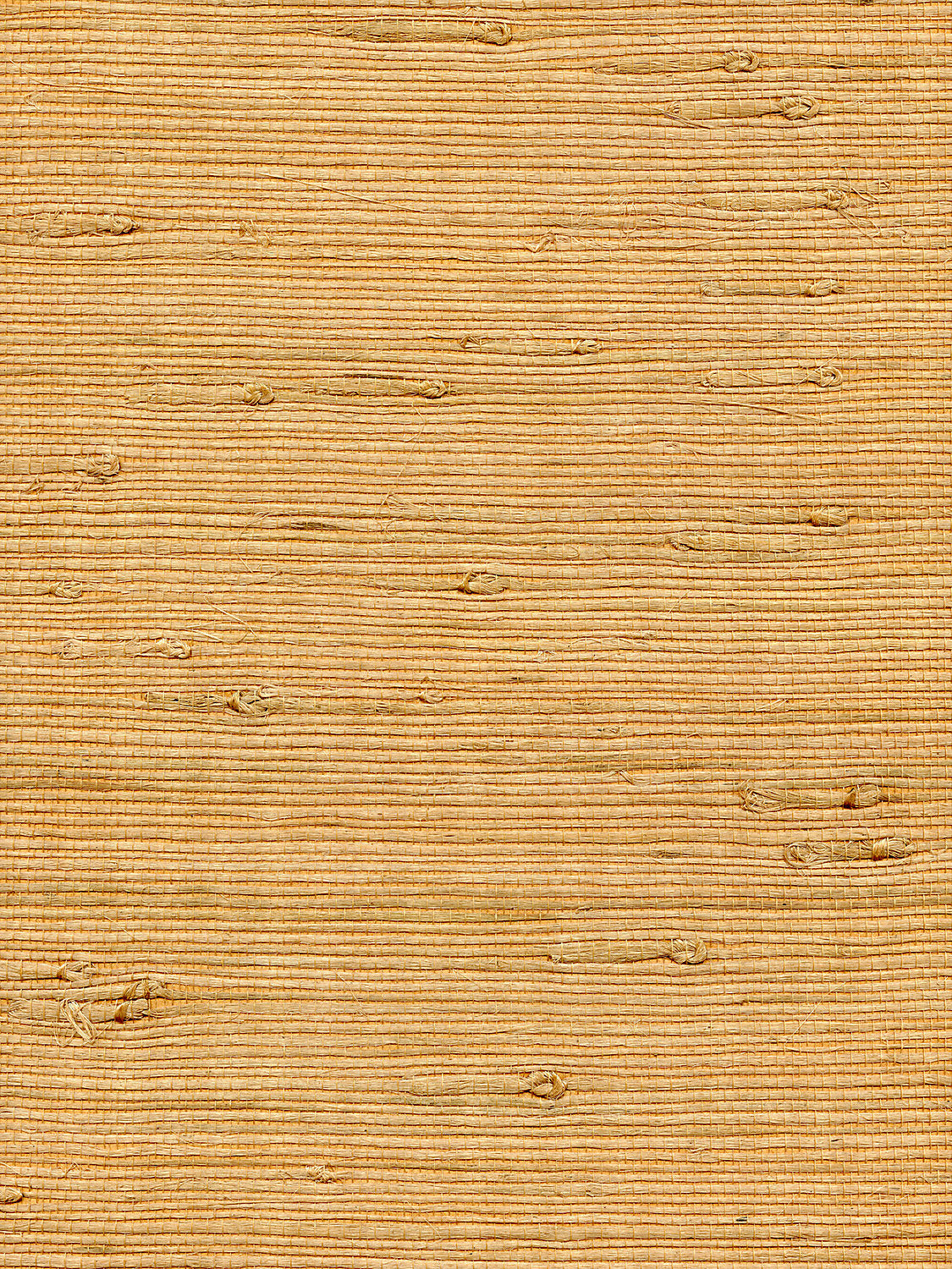 Organic Jute - Ore - Scalamandre Wallpaper