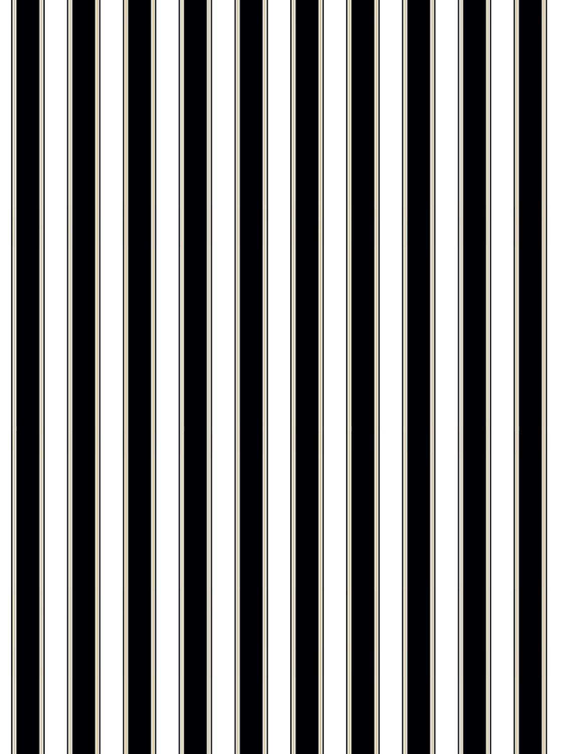 PIANO STRIPE - WALLCOVERING EBONY WW WP88608D 0007 - SCALAMANDRE