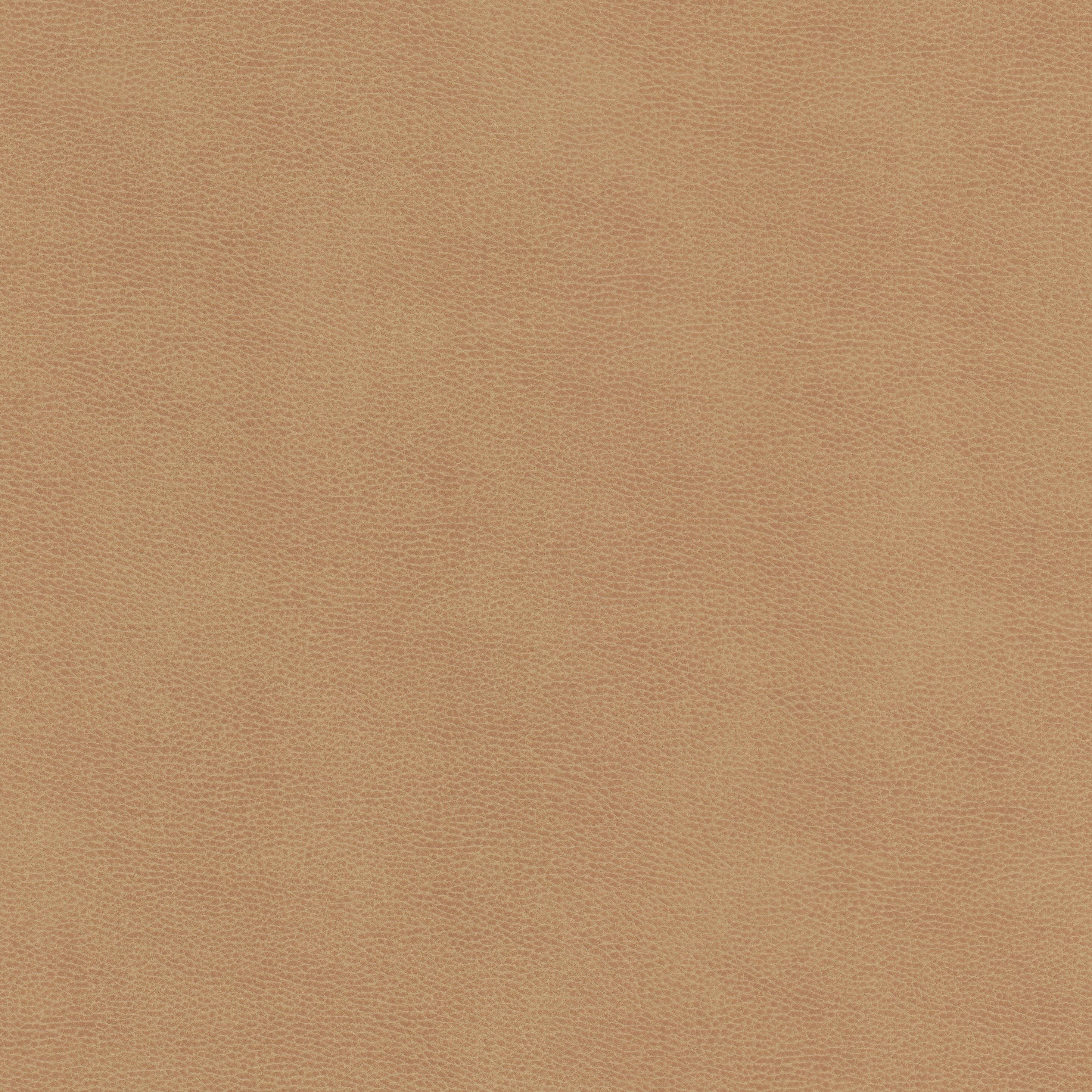 ZIEMBA-1-LION-STOUT-TEXTILES