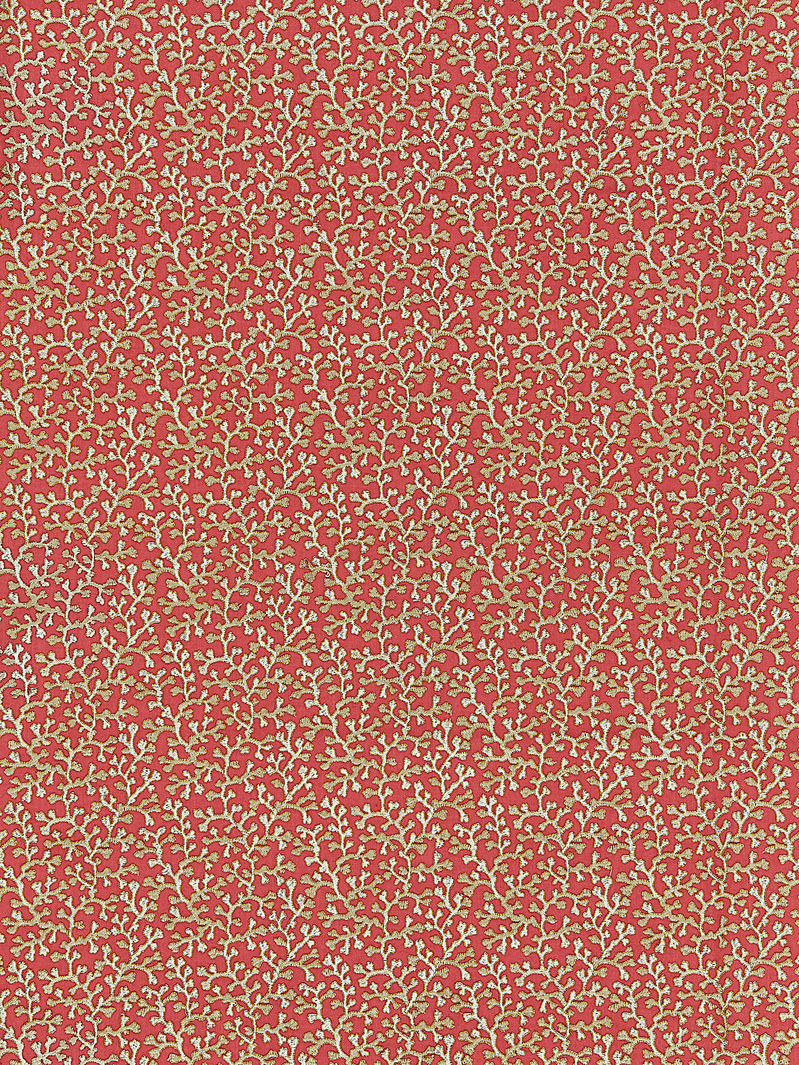 Hele Bay - Coral
