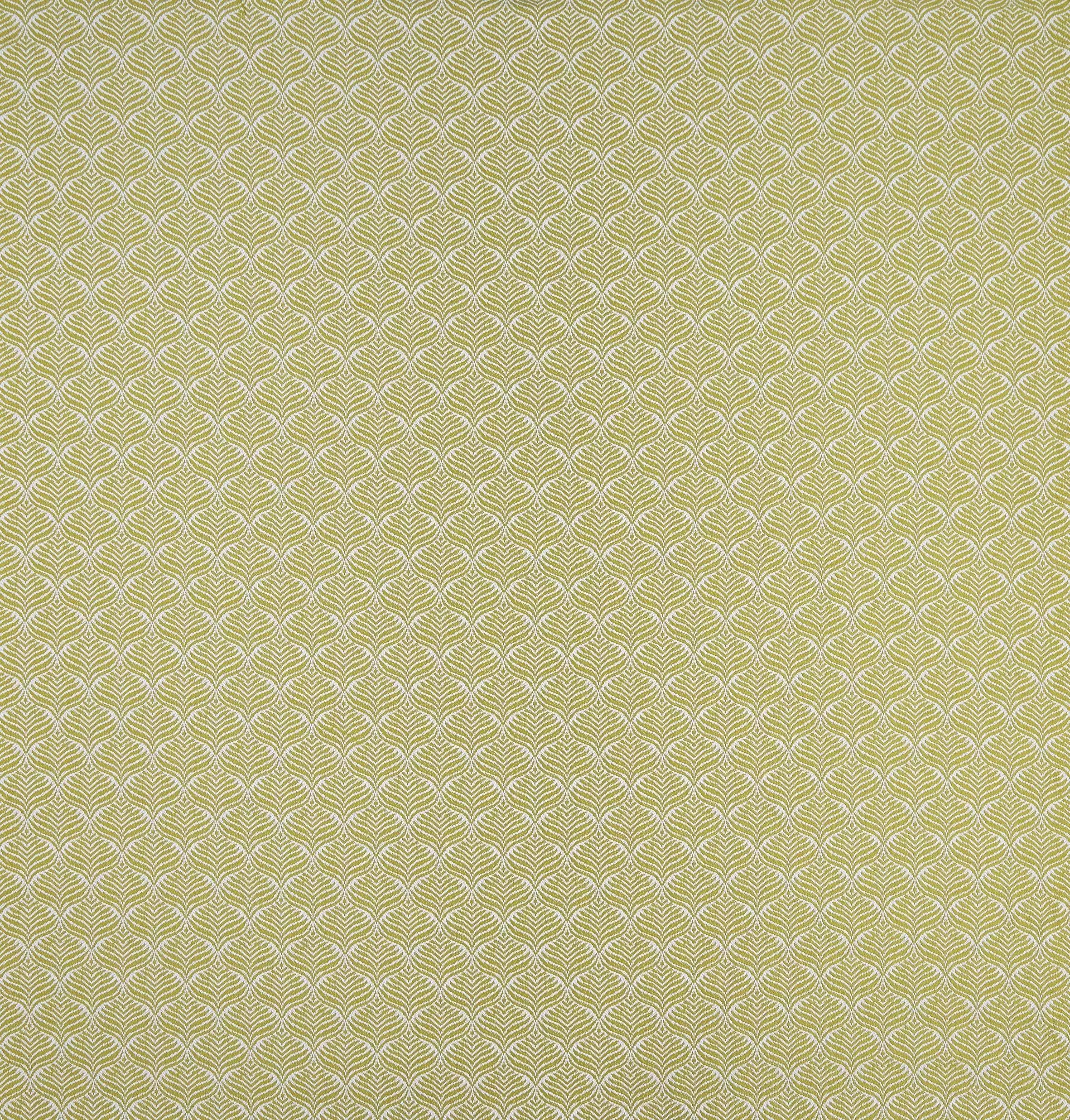 summerhouse-calathea-limewhite-osborne-little-f7442-01