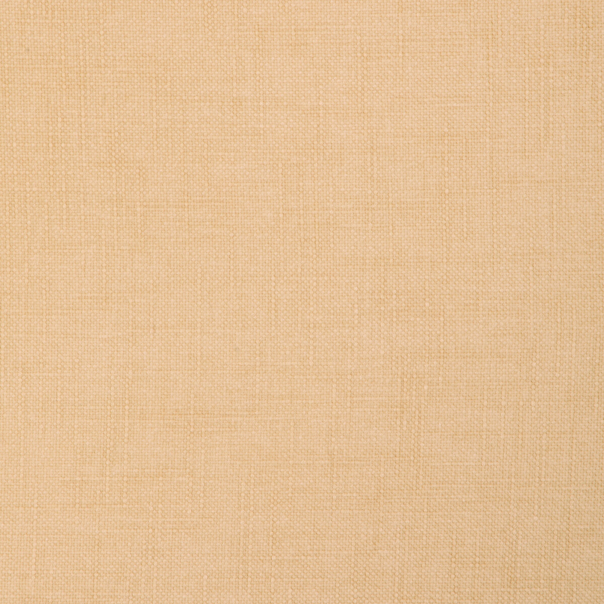 3739411160-jesse-wheat-kravet-smart