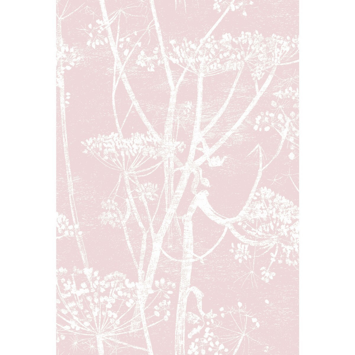 f1115018cs0-cow-parsley-wht-balle-slip-cole-son