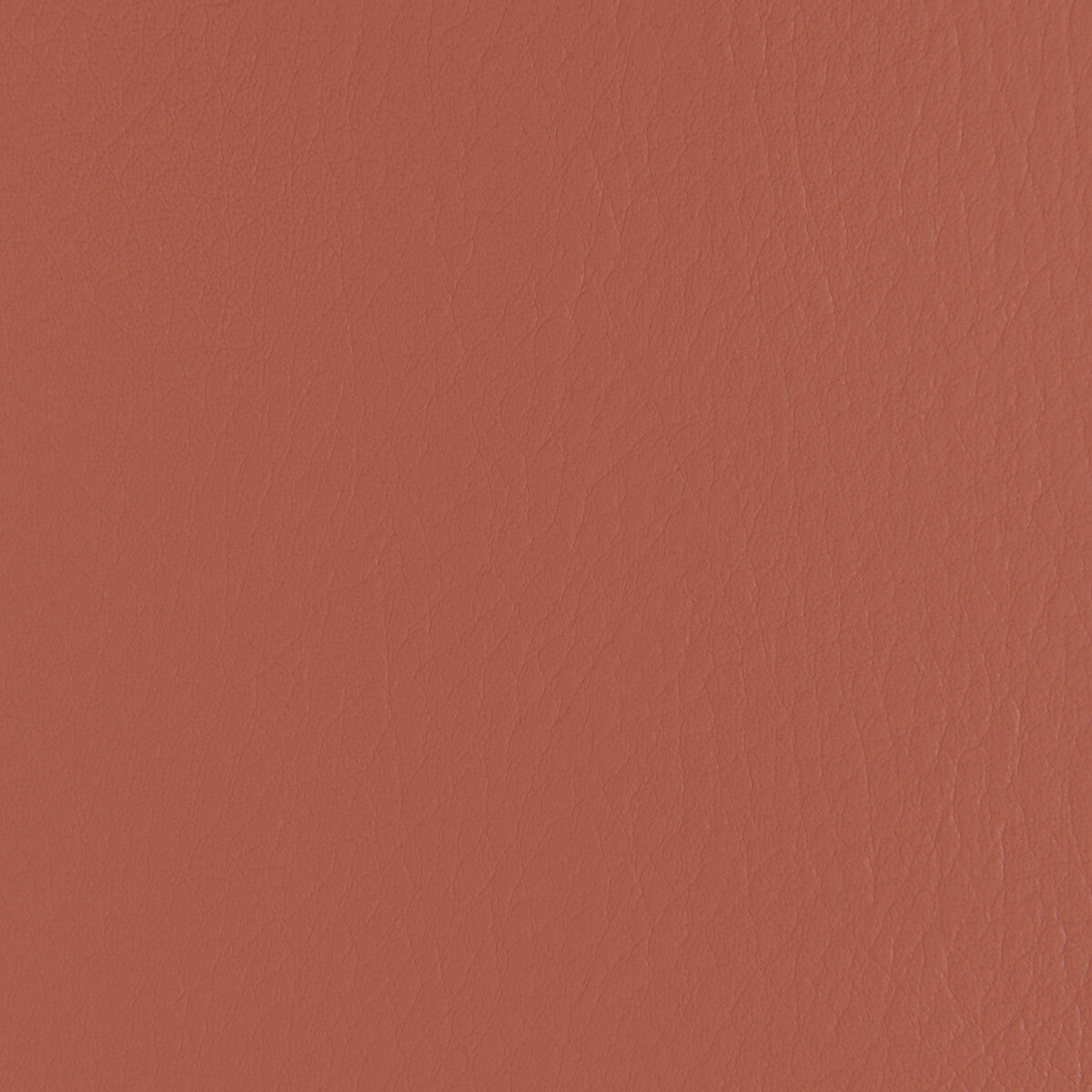 forza240-forza-clay-kravet-contract