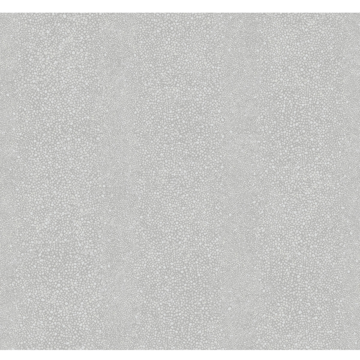 wtp4008wt0-ray-coastal-fog-winfield-thybony