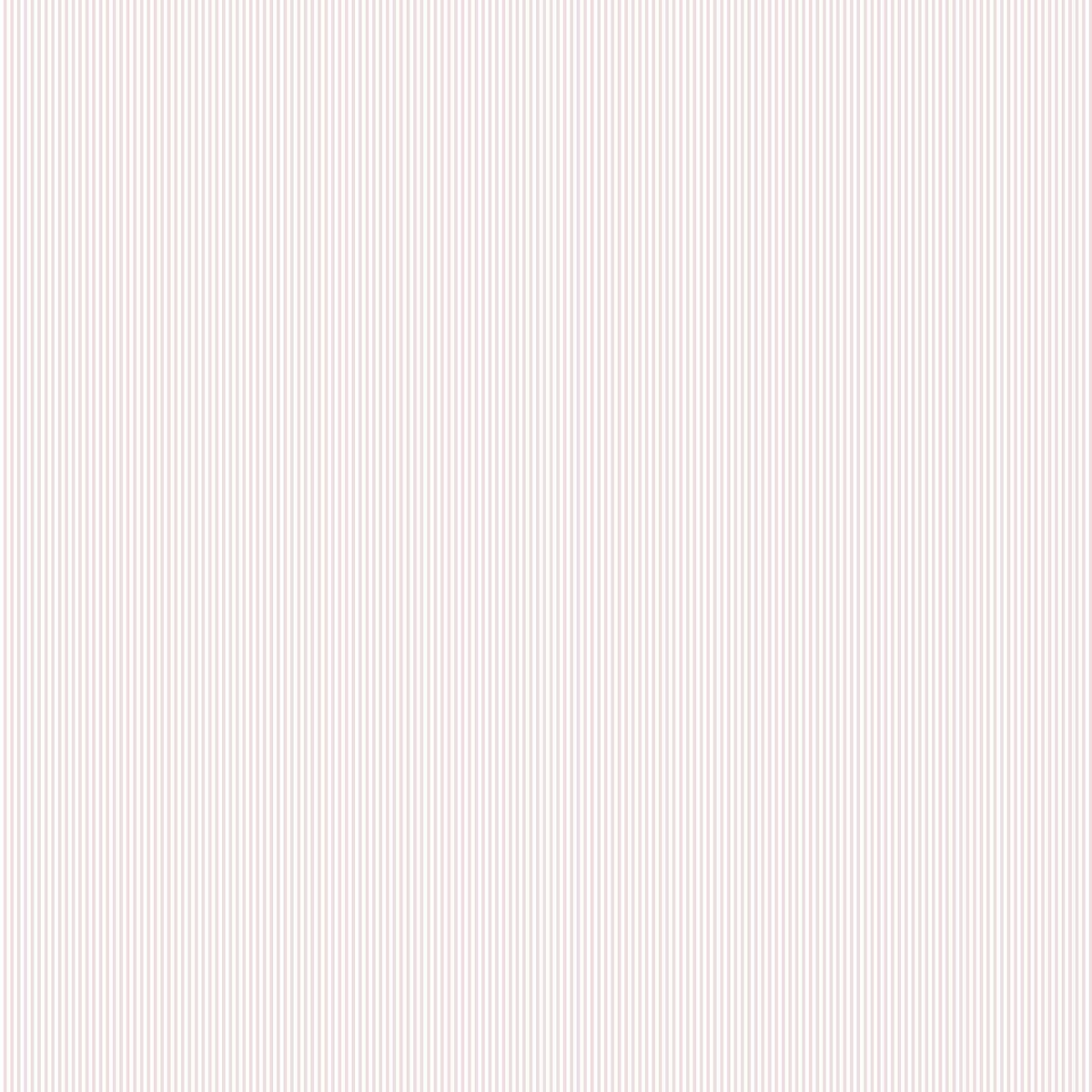 wdr2061wt0-petite-stripe-pink-winfield-thybony