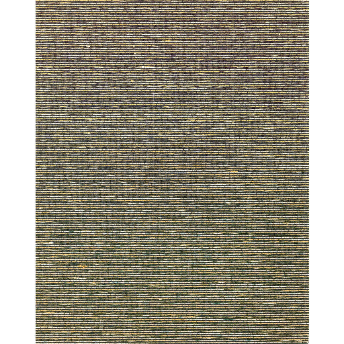 wns5579wt0-althea-plain-black-pepper-winfield-thybony