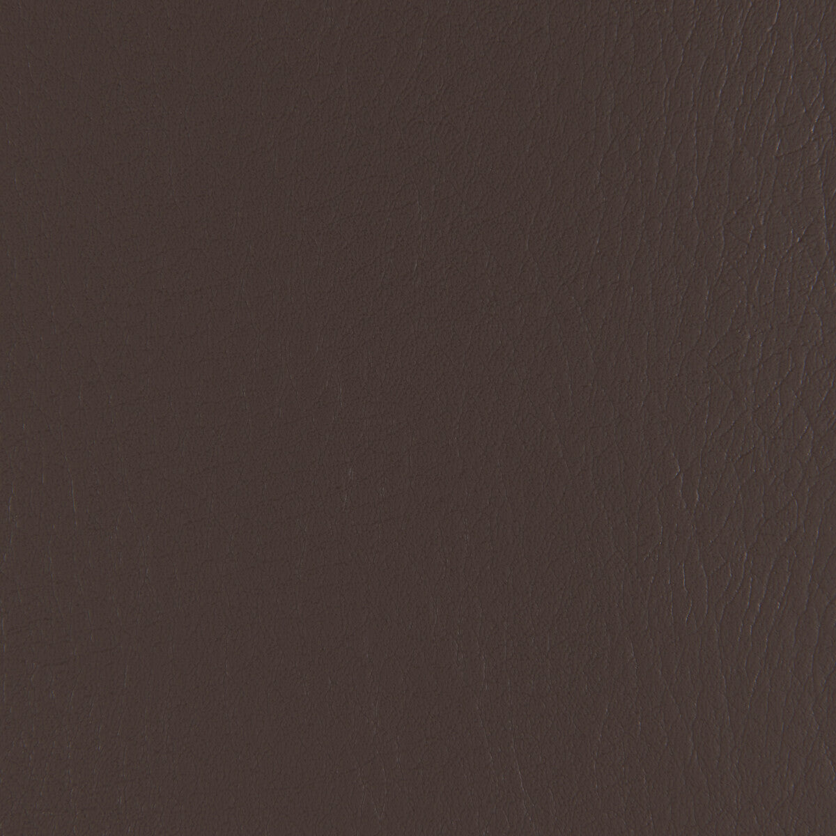 forza660-forza-java-kravet-contract