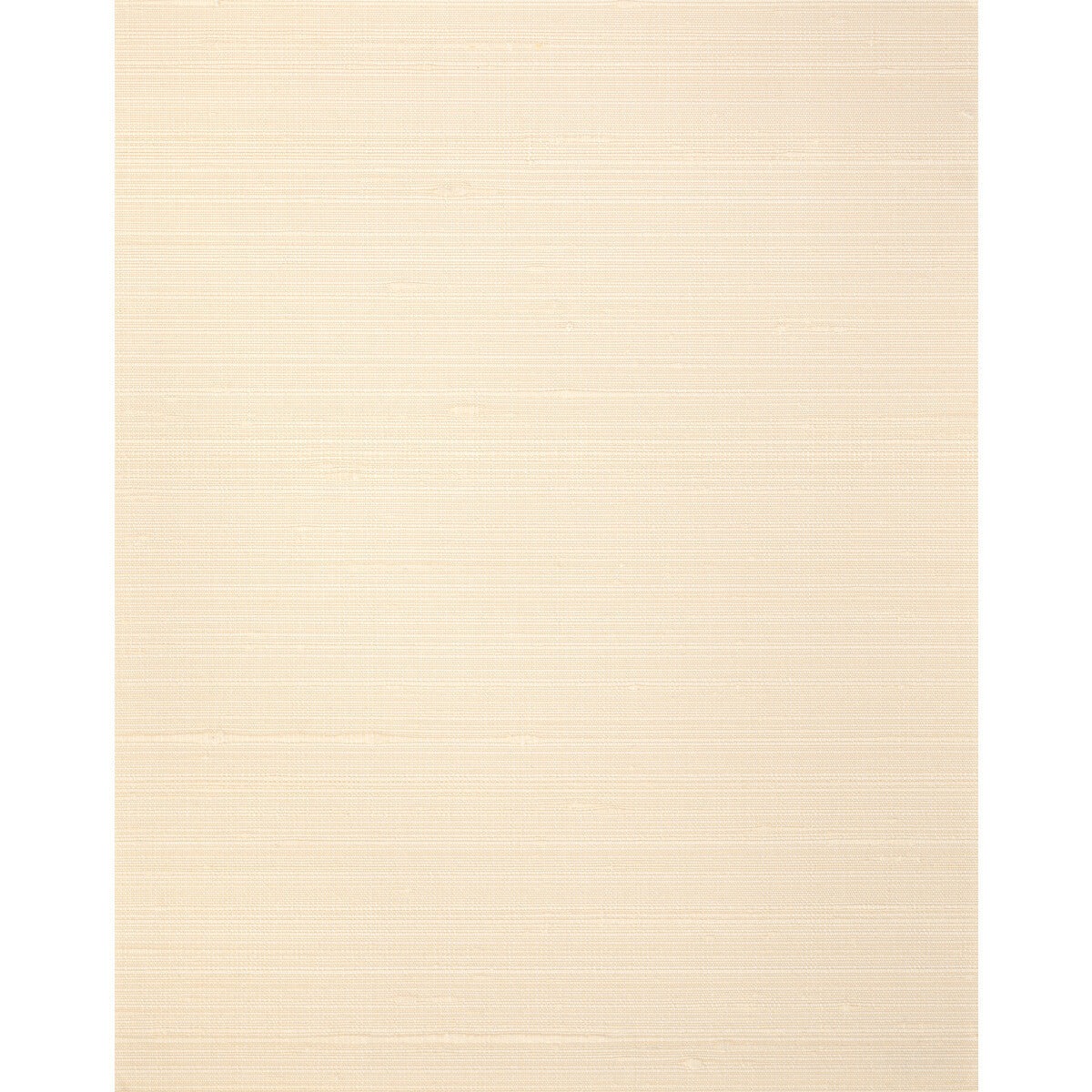 wns5541wt0-misheo-apricot-winfield-thybony