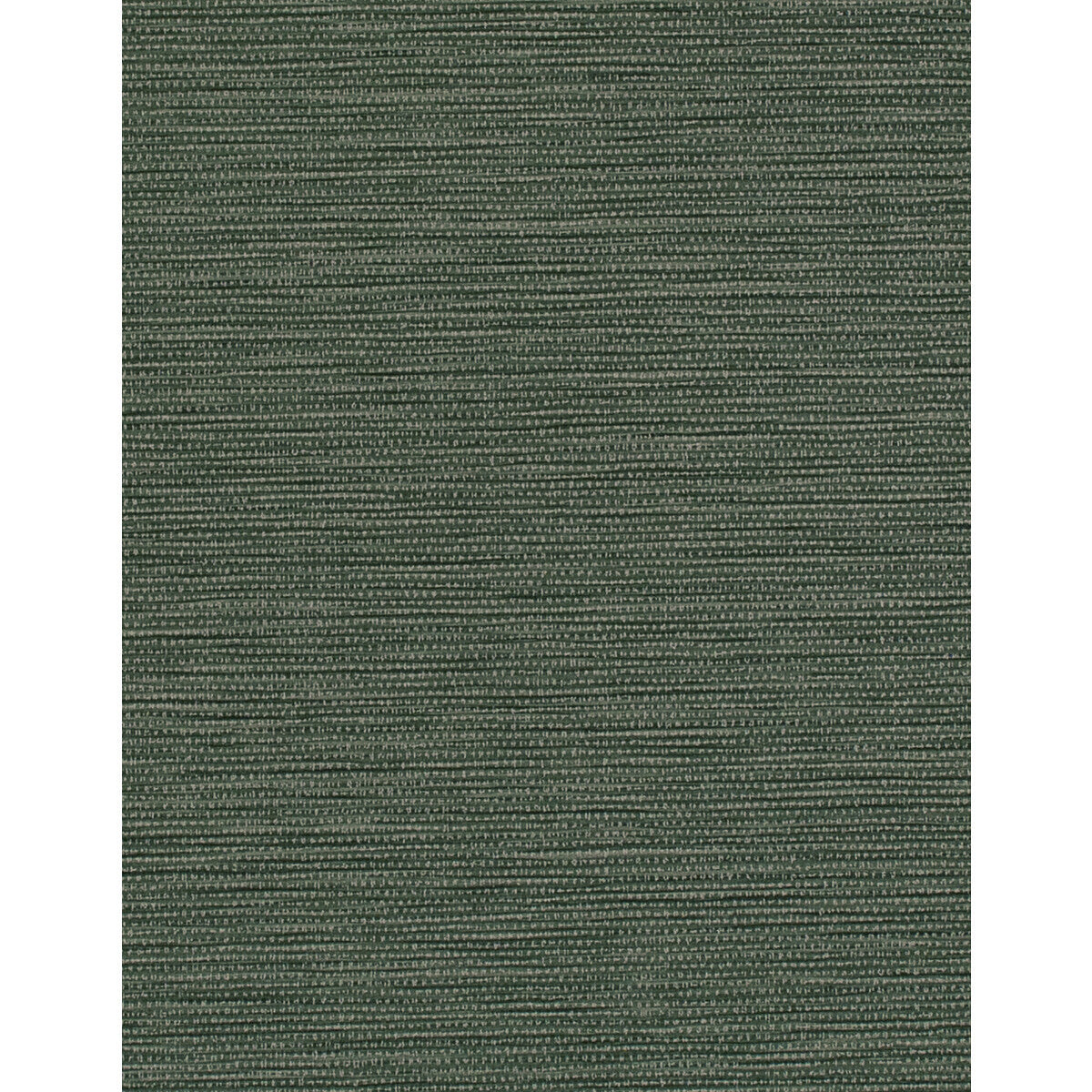 wtn1097wt0-labyrinth-forest-winfield-thybony