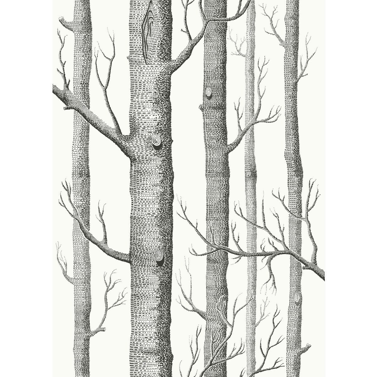 f1117026lcs0-woods-blk-wht-cole-son