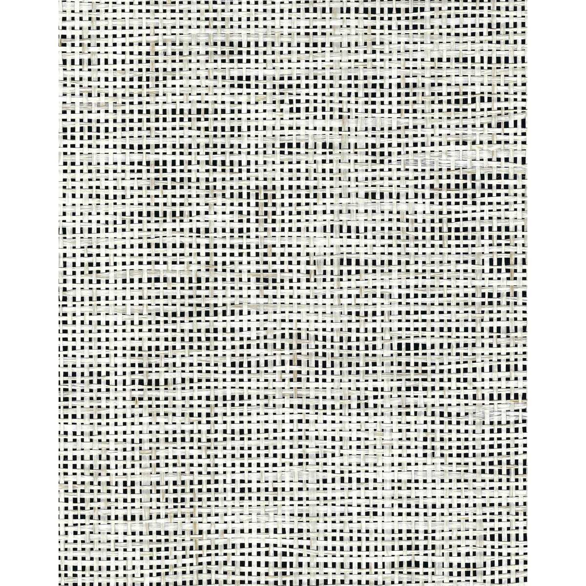 wnr2091wt0-sarashi-paper-weave-noir-winfield-thybony