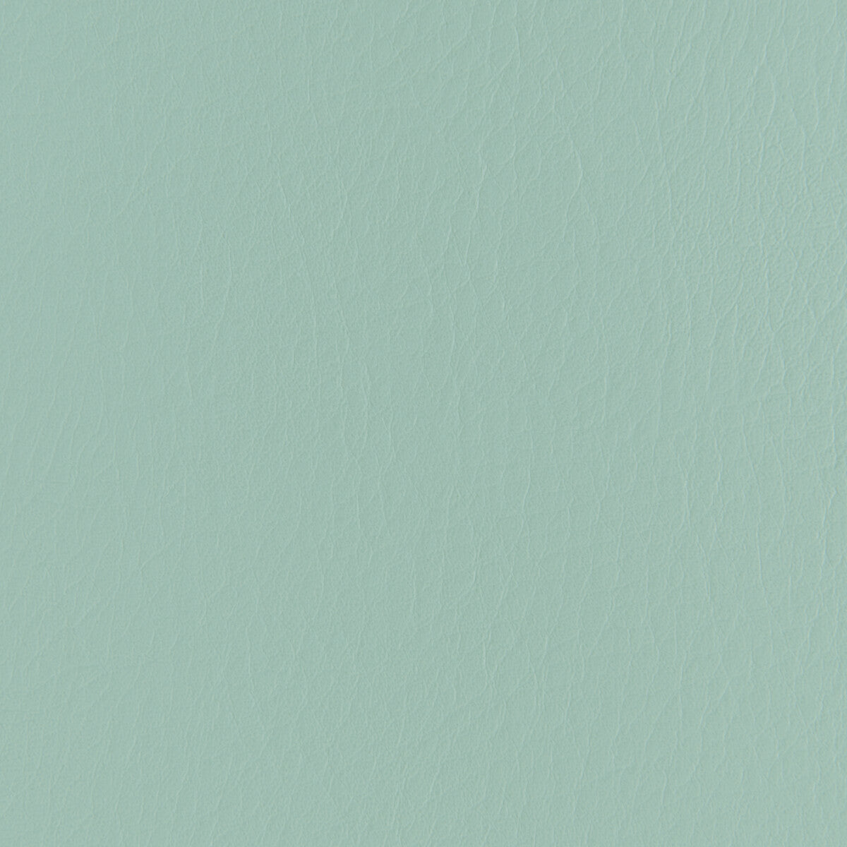 forza1300-forza-spearmint-kravet-contract