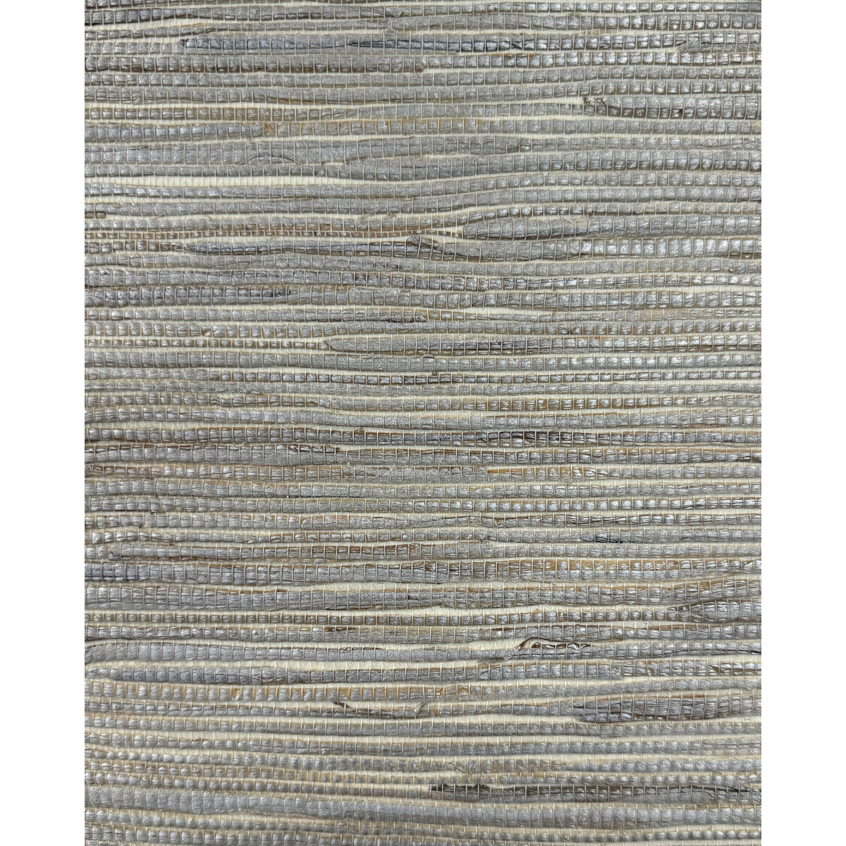 wnr2017wt0-gilded-fusae-nickel-winfield-thybony