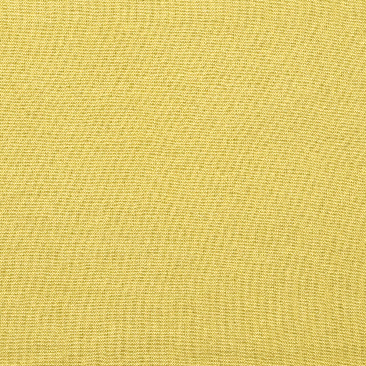 am1004523140-rocco-citrine-kravet-couture