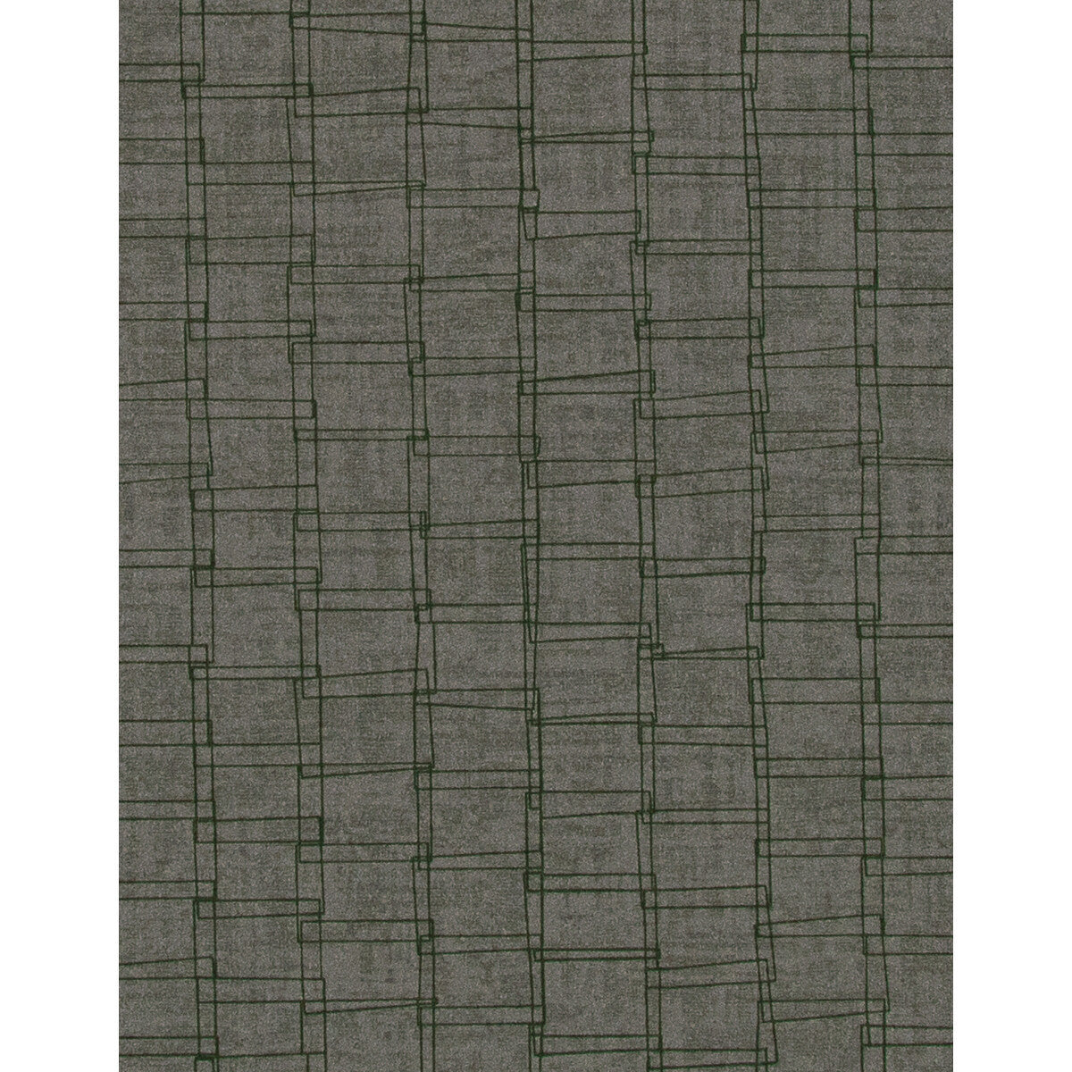 wtn1033wt0-axis-forest-winfield-thybony