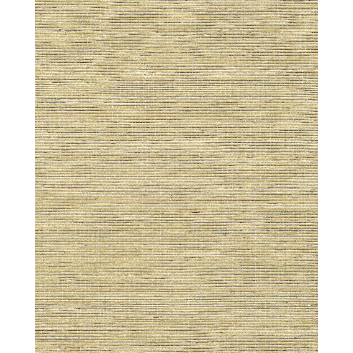 wnr2063wt0-chiyo-sisal-sand-winfield-thybony