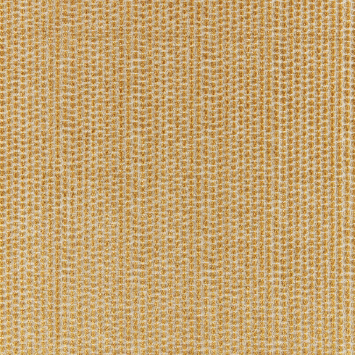 802510340-templon-velvet-gold-brunschwig-fils