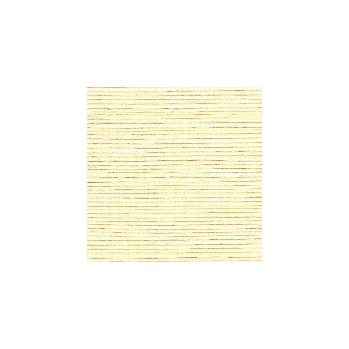 wnr1169wt0-simply-sisal-winfield-thybony