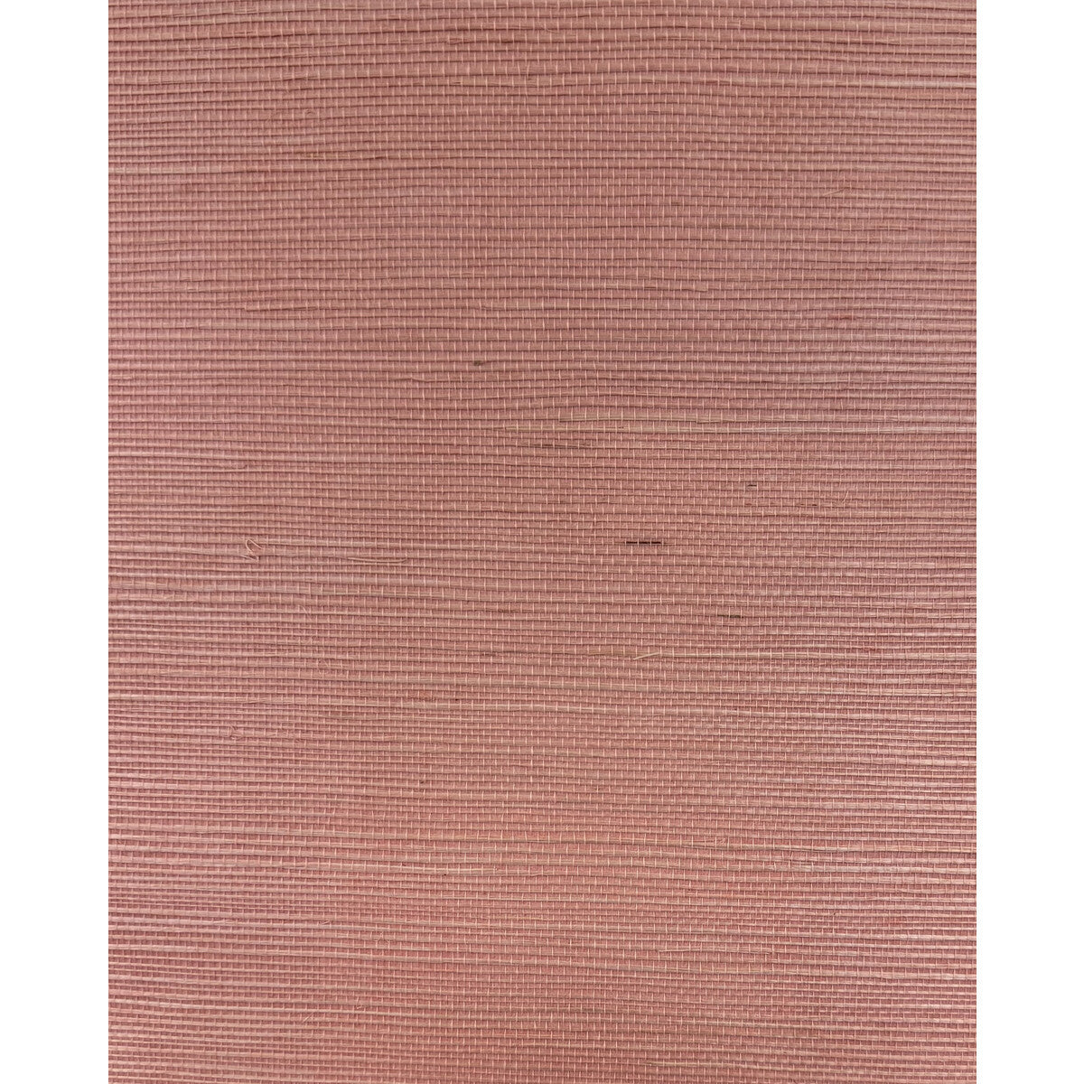 wnr2073wt0-chiyo-sisal-petal-pink-winfield-thybony