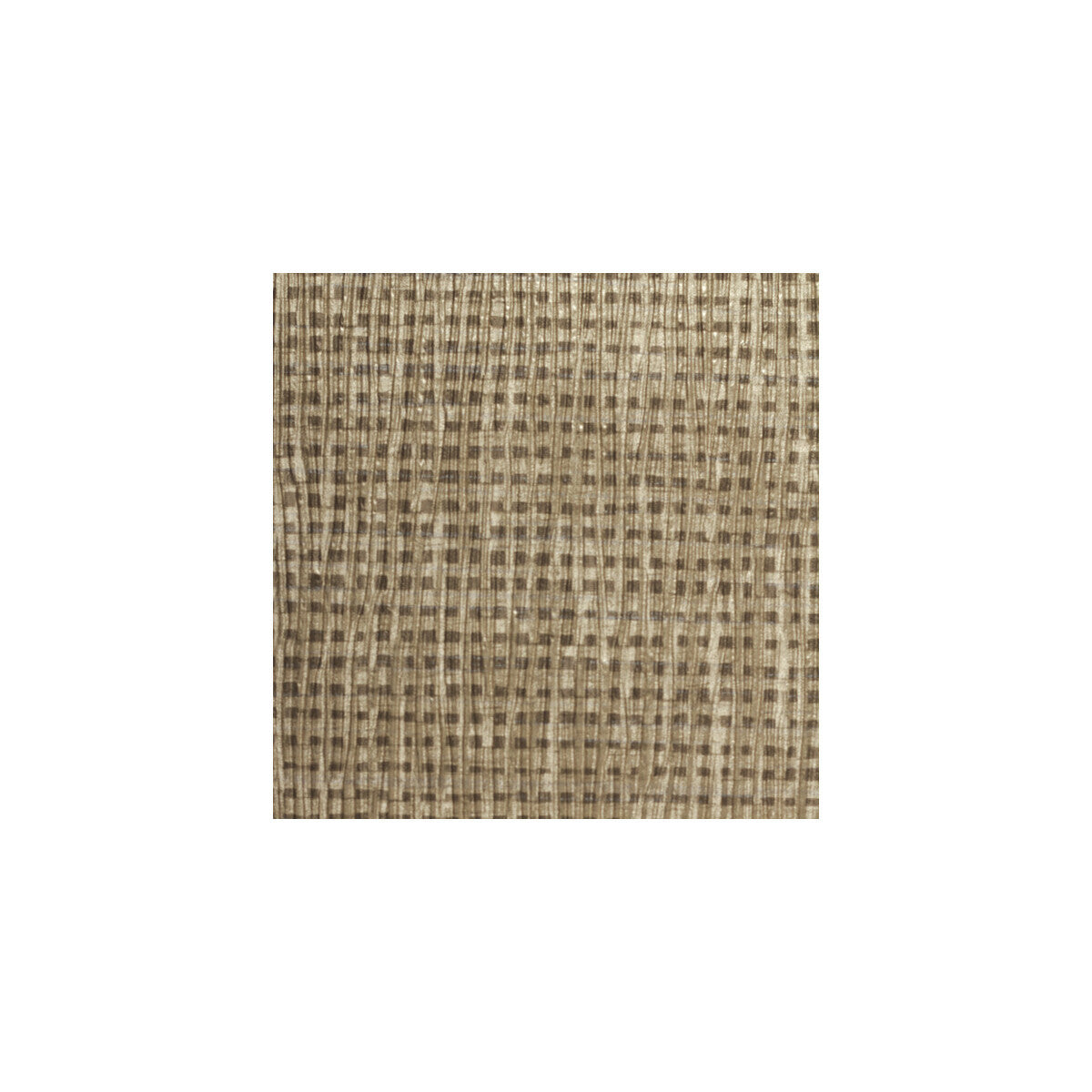 wpw1231wt0-toussaint-shawl-winfield-thybony