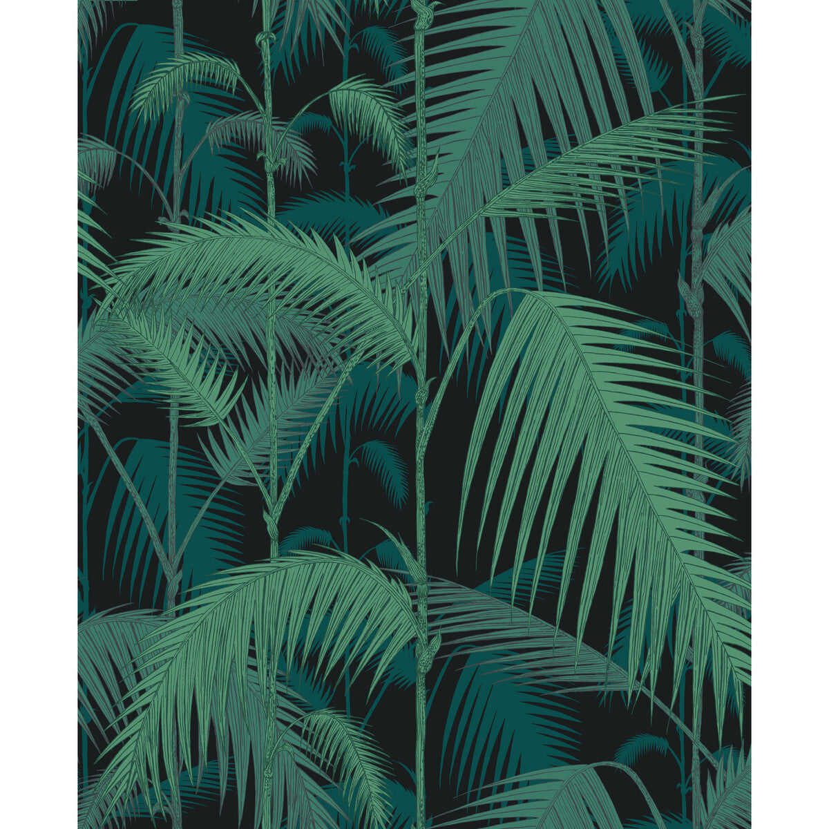 f1112004vcs0-palm-jungle-velvet-print-viripet-on-blk-cole-son