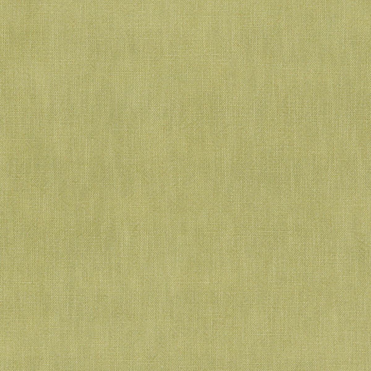 373601230-vero-lime-kravet-smart