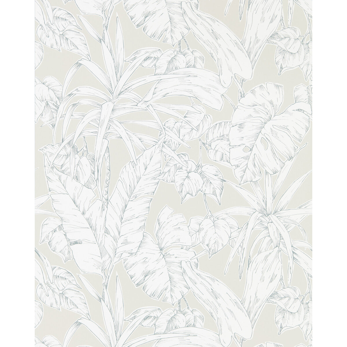 nzaw112026scn0-parlour-palm-scion