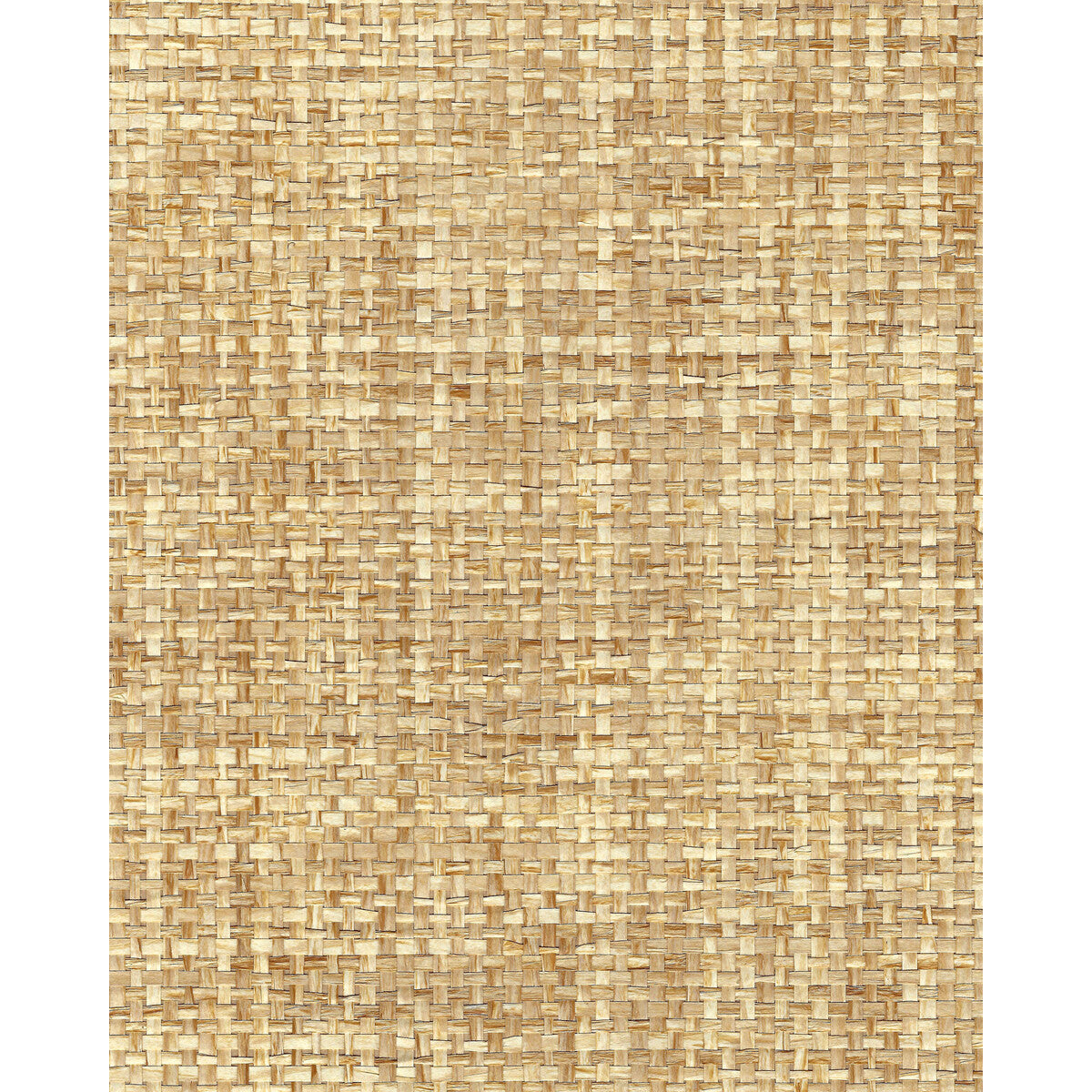 wnr2060wt0-sachi-weave-natural-winfield-thybony