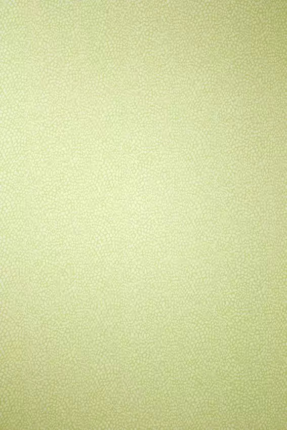 persian-garden-oriole-pale-lime-osborne-little-w6491-05